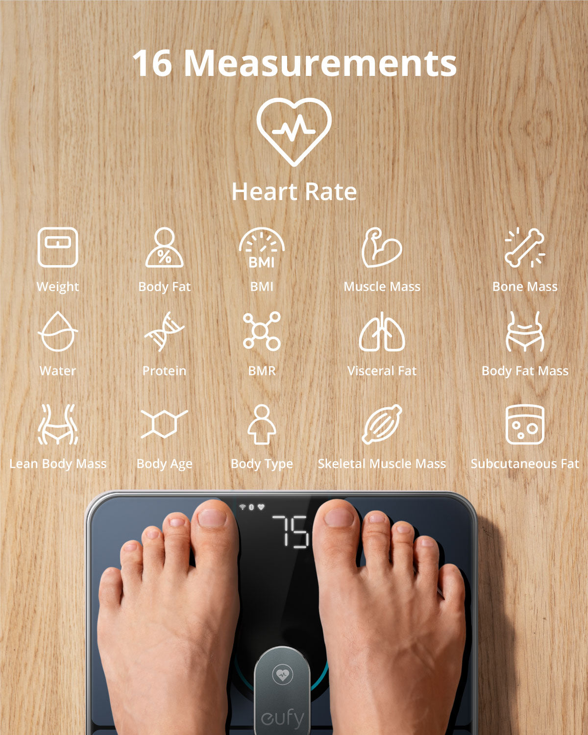 Eufy Smart Scale P2 Pro