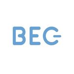 BEC - Switch Electronics