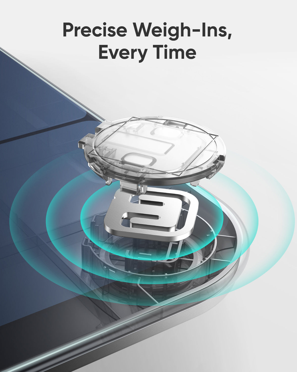 Eufy Smart Scale P3